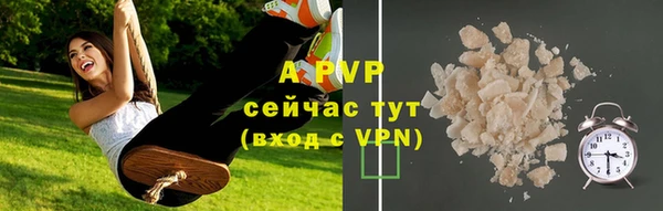 шишки Армянск