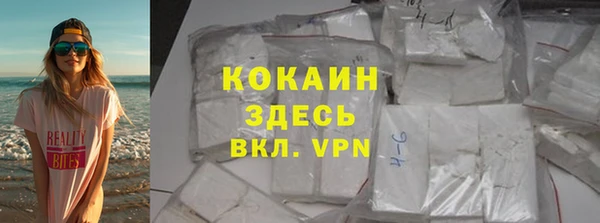шишки Армянск