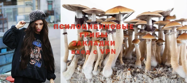 шишки Армянск