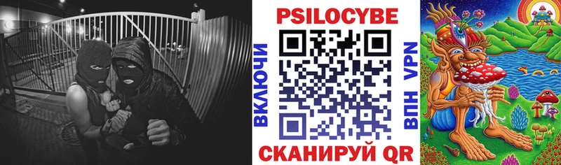 Купить где  Балей  Псилоцибиновые грибы Psilocybine cubensis 